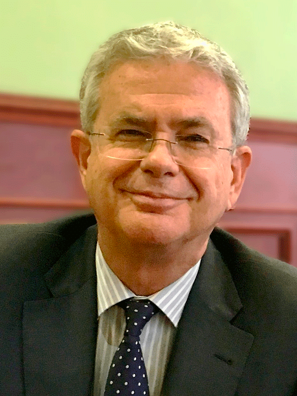 Angel Luis Cervera Fantoni