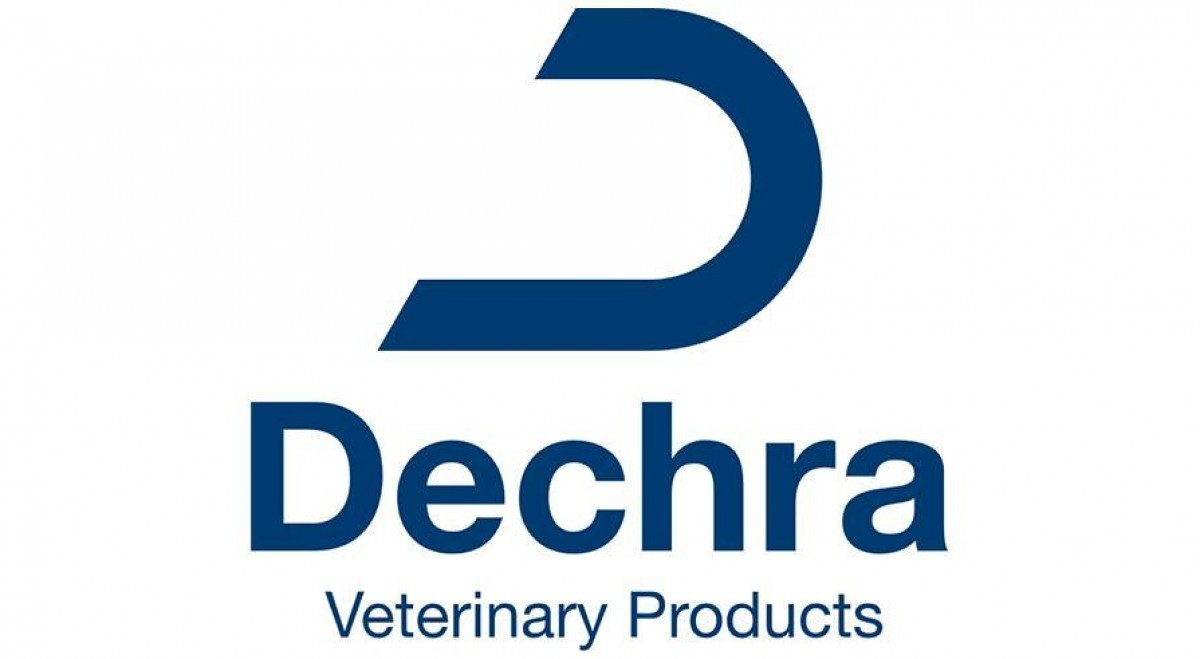 Logo Dechra