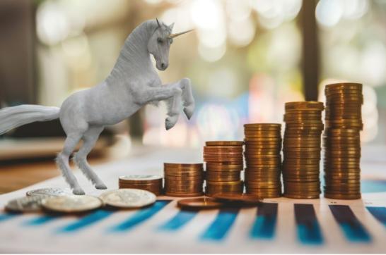 what are unicorn companies, unicorn company examples, characteristics of unicorn startups