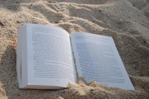 Lectura de verano. Image by Michael Bußmann from Pixabay