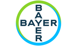 Bayer